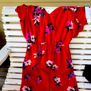 41 Hawthorn Midnight Scallop Detail Dress